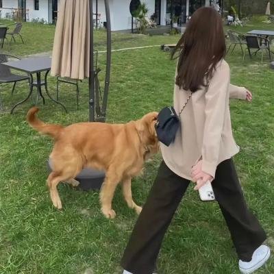演艺事业